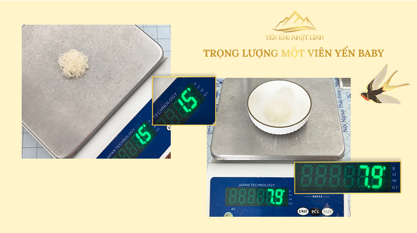 Trọng lượng yến viên baby ở dạng khô và ngâm nở