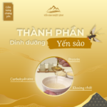 Thành phần dinh dưỡng của yến sào và tác dụng đối với sức khỏe