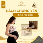 Cách chưng yến cho mẹ bầu an toàn, bồi bổ sức khỏe