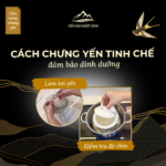 Cách chưng yến tinh chế đúng chuẩn, đảm bảo dinh dưỡng