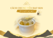 Cách chưng yến hạt sen đúng, hỗ trợ giấc ngủ