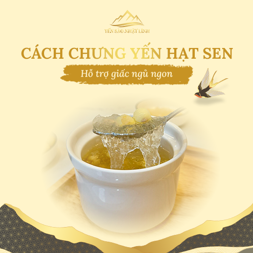 Cách chưng yến hạt sen đúng, hỗ trợ giấc ngủ