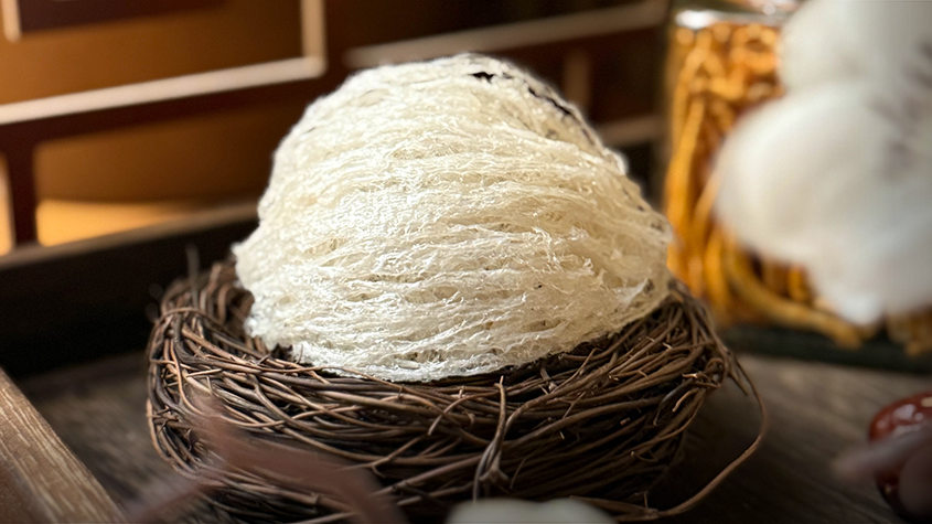 Yến sào giúp phòng ngừa biến chứng, tăng cường hệ miễn dịch