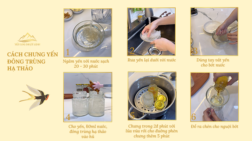 Các bước chưng yến cùng đông trùng hạ thảo
