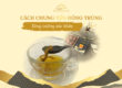 Cách chưng yến với đông trùng hạ thảo tăng cường sức khỏe