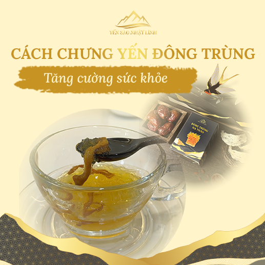 Cách chưng yến với đông trùng hạ thảo tăng cường sức khỏe